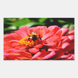 赤いサンゴエレガントフローラかわいいのまわりに 長方形シール