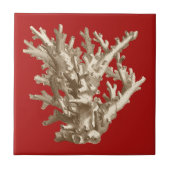 赤いサンゴ タイル (正面)