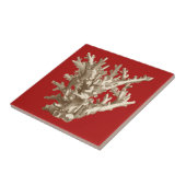 赤いサンゴ タイル (側面)