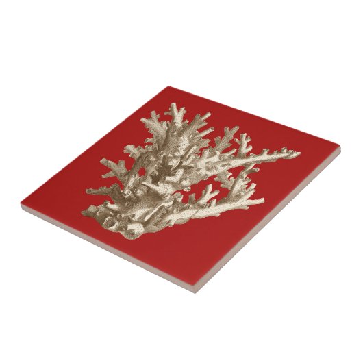 赤いサンゴ タイル (側面)