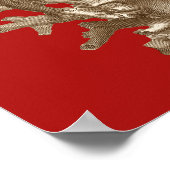 赤いサンゴ ポスター (角)