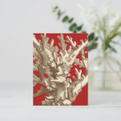 赤いサンゴ ポストカード (スタンド正面)