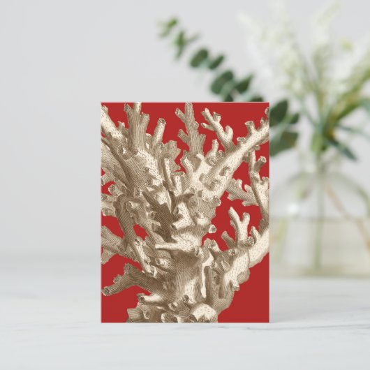 赤いサンゴ ポストカード (スタンド正面)