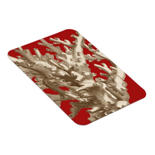 赤いサンゴ マグネット (右側)