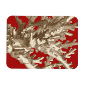 赤いサンゴ マグネット (横)