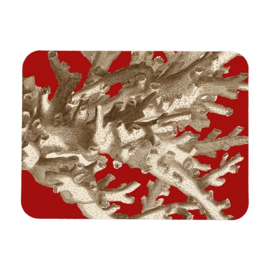 赤いサンゴ マグネット (横)