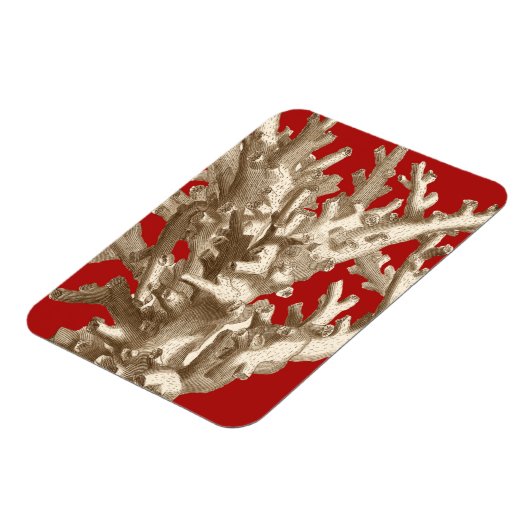 赤いサンゴ マグネット (左側)