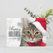 赤いサンタの帽子のクリスマス猫 シーズンカード (スタンド正面)