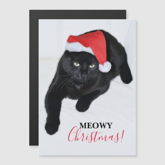 赤いサンタの帽子の猫 (正面/裏面)