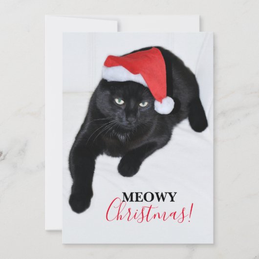 赤いサンタの帽子をかぶった猫 シーズンカード (正面)