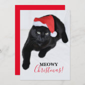 赤いサンタの帽子をかぶった猫 シーズンカード (正面/裏面)