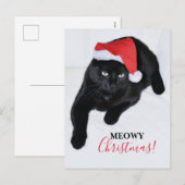 赤いサンタの帽子をかぶった猫 シーズンポストカード (正面/裏面)