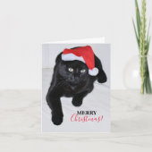 赤いサンタの帽子を被った黒猫 シーズンカード (正面)