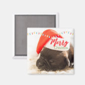 赤いサンタハットのクリスマスにかわいい子犬のパグ マグネット (正面/裏面)