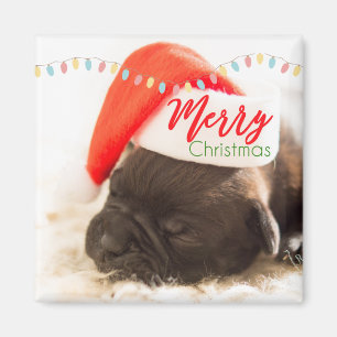 赤いサンタハットのクリスマスにかわいい子犬のパグ マグネット