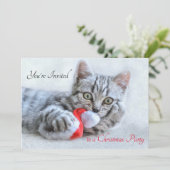 赤いサンタハットのクリスマスを噛むかわいい子猫 招待状 (スタンド正面)