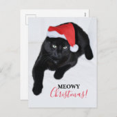 赤いサンタハットの猫 シーズンポストカード (正面/裏面)