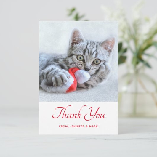 赤いサンタハットをかむ可愛い子猫サンタ サンキューカード (スタンド正面)