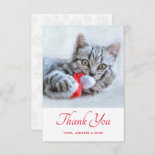 赤いサンタハットをかむ可愛い子猫サンタ サンキューカード (正面/裏面)