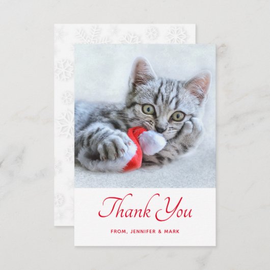 赤いサンタハットをかむ可愛い子猫サンタ サンキューカード (正面/裏面)
