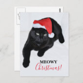 赤いサンタハットを持つ猫 ポストカード (正面/裏面)