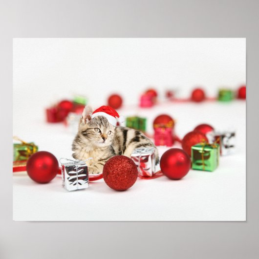 赤いサンタ帽のクリスマスを着た猫 ポスター (正面)