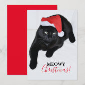 赤いサンタ帽の猫 シーズンカード (正面/裏面)