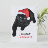 赤いサンタ帽の猫 シーズンカード (スタンド正面)