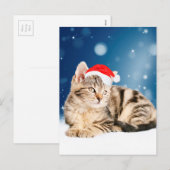 赤いサンタ帽をかぶったかわいい猫 クリスマス スノー (正面/裏面)