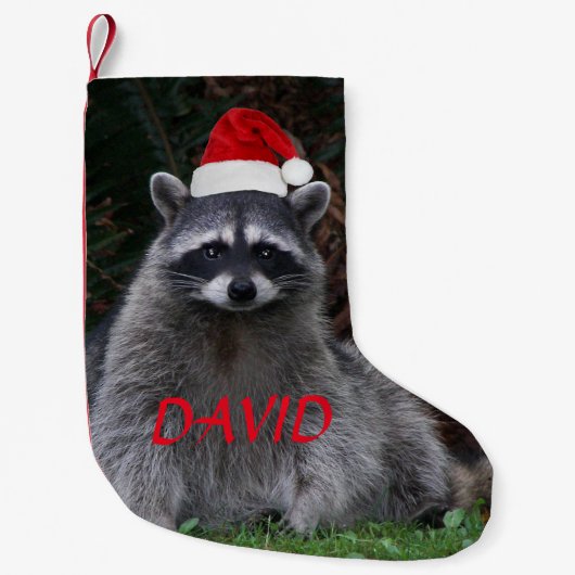 赤いサンタ帽をかぶったアライグマ スモールクリスマスストッキング (正面)