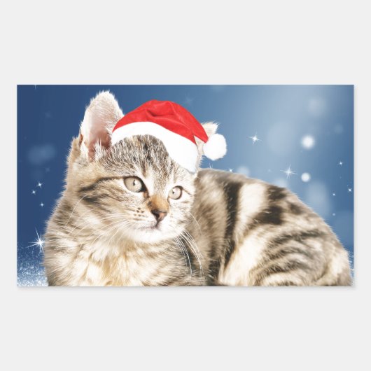 赤いサンタ帽をかぶったクリスマスの雪の可愛い猫 長方形シール (正面)