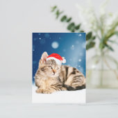 赤いサンタ帽をかぶった可愛い猫クリスマス雪 シーズンポストカード (スタンド正面)