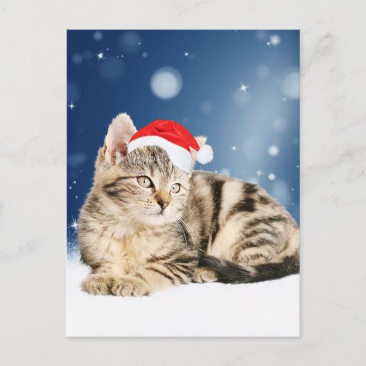 赤いサンタ帽をかぶった可愛い猫クリスマス雪 シーズンポストカード (正面)