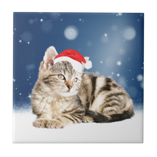 赤いサンタ帽をかぶった可愛い猫クリスマス雪 タイル (正面)