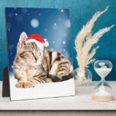 赤いサンタ帽をかぶった可愛い猫クリスマス雪 フォトプラーク (側面)