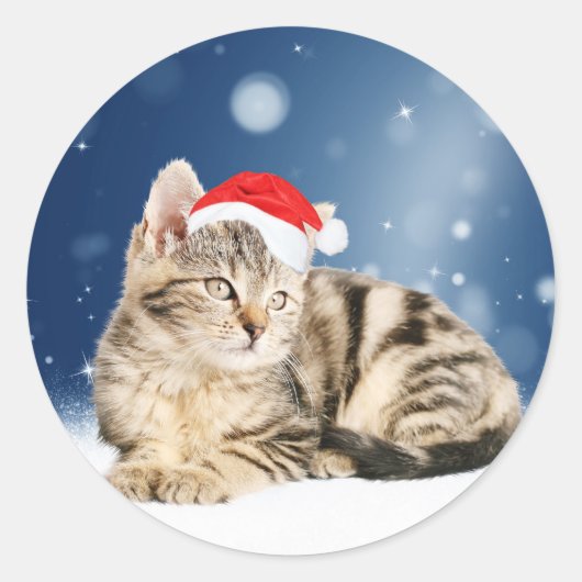 赤いサンタ帽をかぶった可愛い猫クリスマス雪 ラウンドシール (正面)