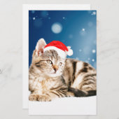 赤いサンタ帽をかぶった可愛い猫クリスマス雪 便箋 (正面/裏面)
