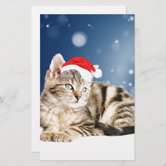 赤いサンタ帽をかぶった可愛い猫クリスマス雪 便箋 (正面/裏面)