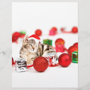 赤いサンタ帽をかぶった猫のクリスマスオーナメント