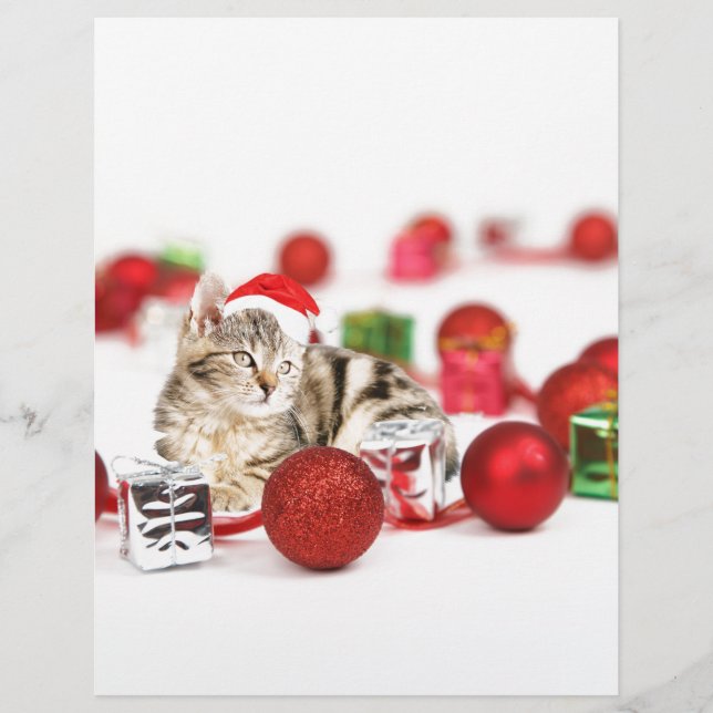 赤いサンタ帽をかぶった猫のクリスマスオーナメント (正面)