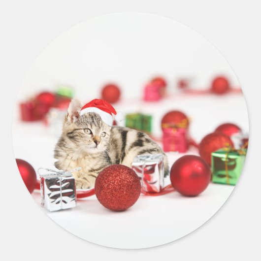 赤いサンタ帽をかぶった猫のクリスマスオーナメント ラウンドシール (正面)