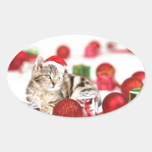 赤いサンタ帽をかぶった猫のクリスマスオーナメント 楕円形シール