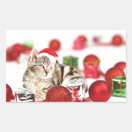 赤いサンタ帽をかぶった猫のクリスマスオーナメント 長方形シール (正面)