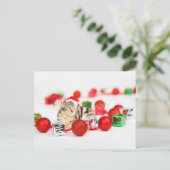 赤いサンタ帽子のクリスマスオーナメントを着た猫 シーズンポストカード (スタンド正面)