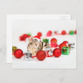 赤いサンタ帽子のクリスマスオーナメントを着た猫 シーズンポストカード (正面/裏面)