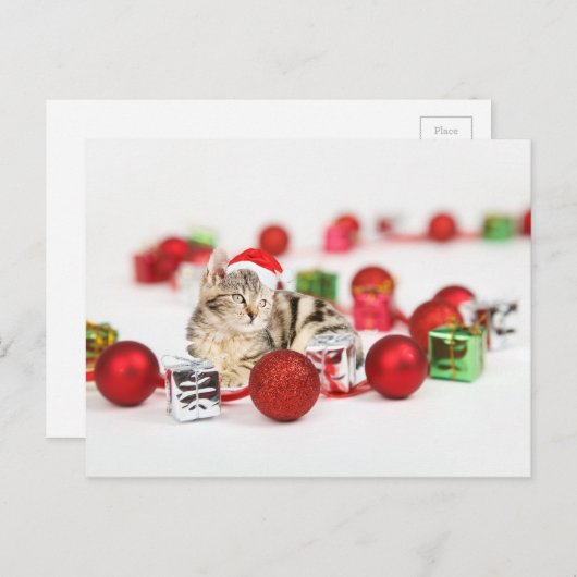 赤いサンタ帽子のクリスマスオーナメントを着た猫 シーズンポストカード (正面/裏面)