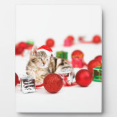 赤いサンタ帽子のクリスマスオーナメントを着た猫 フォトプラーク (正面)