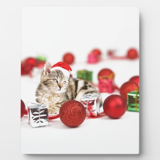 赤いサンタ帽子のクリスマスオーナメントを着た猫 フォトプラーク (正面)