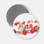 赤いサンタ帽子のクリスマスオーナメントを着た猫 マグネット (正面/裏面)