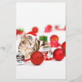 赤いサンタ帽子のクリスマスオーナメントを着た猫 便箋 (正面)